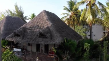 Paradise Coast Resort with Palm Trees and Hotels by Ocean, Zanzibar, Aerial view
