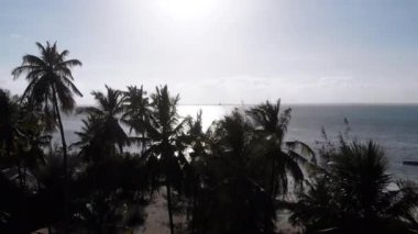 Paradise Coast Resort with Palm Trees and Hotels by Ocean, Zanzibar, Aerial view