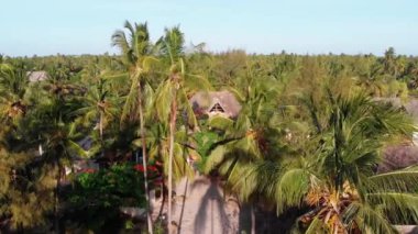 Hava manzaralı Afrika Tropikal Plaj Tatil Köyü, Thatched-Roof Otelleri, Havuzlar, Zanzibar