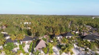 Paradise Coast Resort with Palm Trees and Hotels by Ocean, Zanzibar, Aerial view