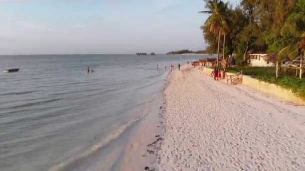 Costa de Playa Resort con Palmeras, Hoteles Costeros, Zanzíbar, Vuelos Bajos — Vídeos de Stock