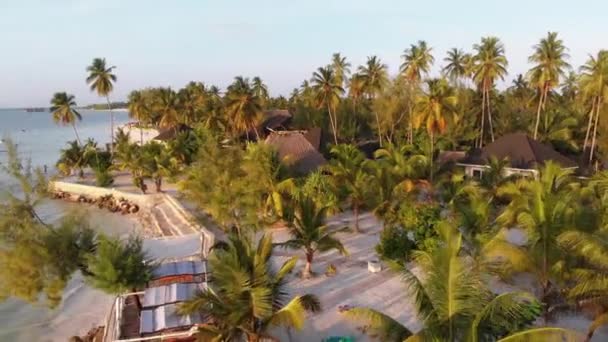 Курорт Paradise Coast Resort с пальмовыми деревьями и Мбаппе на берегу океана, Занзибар, вид с воздуха — стоковое видео