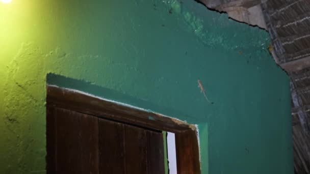 Un geco striscia su un muro in un bungalow tropicale di notte, Africa, Zanzibar — Video Stock