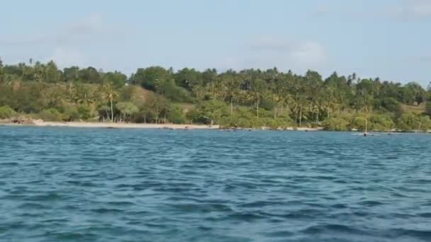 森林、ヤシ、サンゴ礁、ボート、海とザンジバルの手付かずの海岸の眺め — ストック動画