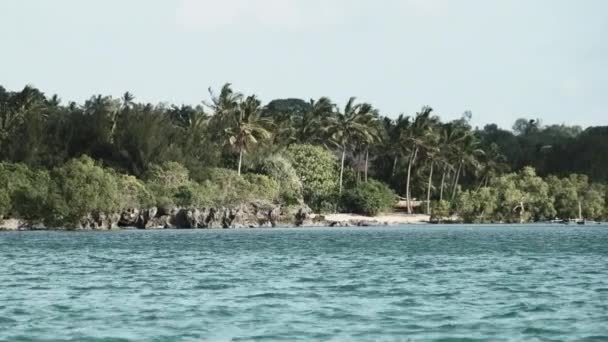 Vista da Costa Intocada de Zanzibar com Floresta, Palmeiras, Recifes de Coral e Oceano — Vídeo de Stock