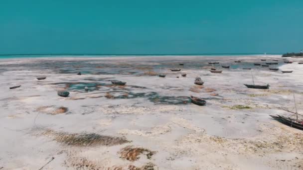 Un sacco di barche da pesca bloccato in sabbia al largo della costa a bassa marea, Zanzibar, Vista aerea — Video Stock