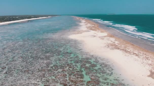 Ocean Coastline och barriärrev vid Low Tide, Zanzibar, Matemwe, Flygfoto — Stockvideo
