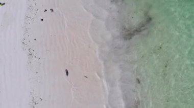 Botlar sığ kıyılarda demirli, okyanus alçak dalgalarda, hava, zanzibar