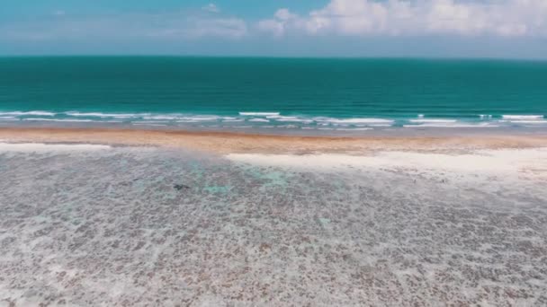 Línea costera del océano y arrecife de barrera en marea baja, Zanzíbar, Matemwe, Vista aérea — Vídeos de Stock