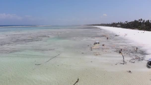 Ocean na odpływie, Widok z powietrza, Zanzibar, Płycizna rafy koralowej, Plaża Matemwe — Wideo stockowe