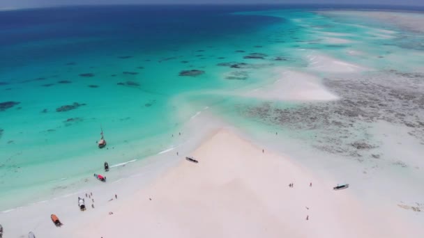 Homokpadok az óceán közepén Trópusi sziget Mnemba, Zanzibár Aerial View — Stock videók