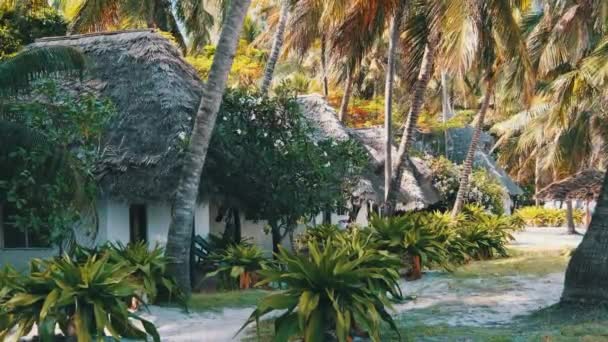 Tropical Beach Hotel with Thatched Roofs in Palm Groves by Ocean, Zanzibar, Paje — Wideo stockowe