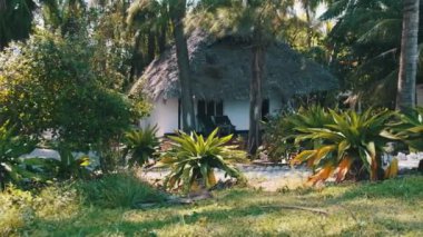 Okyanus, Zanzibar, Paje 'nin kıyısındaki Palm Groves' daki Thatched Roofs 'lu Tropik Plaj Oteli