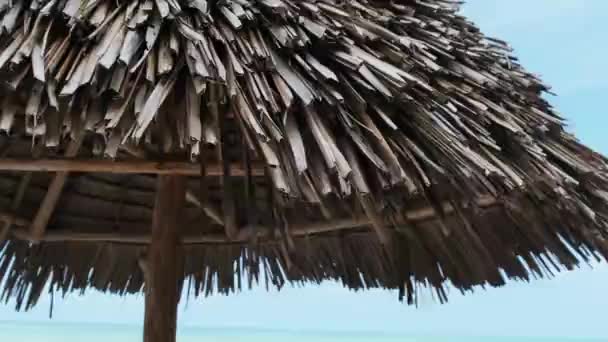 Scaune tropicale de punte sub umbrele Thatched la plaja de nisip de Ocean, Zanzibar — Videoclip de stoc