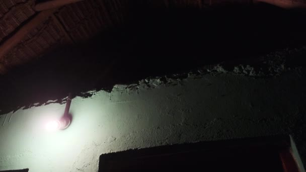 Тропические африканские муравьи ползают по стенам бунгало на улице ночью, Занзибар — стоковое видео