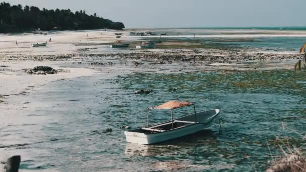 Spousta afrických rybářských lodí uvízlých v písku u pobřeží při odlivu, Zanzibar — Stock video