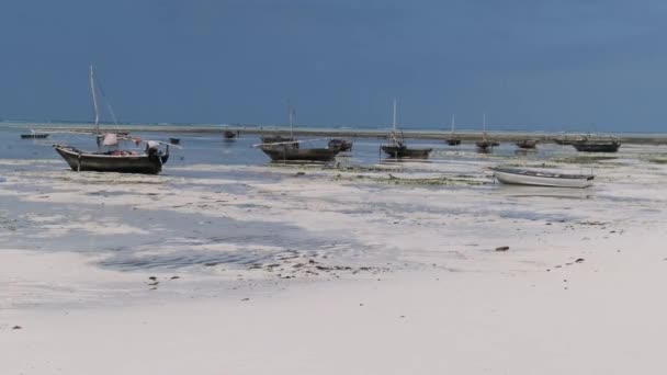 Sok fából készült afrikai halászhajó rekedt homokban a parton, apály, Zanzibár — Stock videók