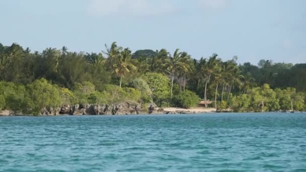 Blick auf die unberührte Küste von Sansibar mit Wald, Palmen, Korallenriffen und Ozean — Stockvideo
