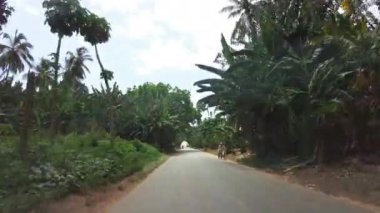 Palmiye ağaçları ve yeşil bitki örtüsü olan Afrika ormanları, sürücü arabasından manzara, Zanzibar