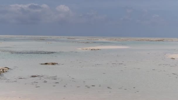 Üres paradicsomi strand fehér homokkal és tiszta vízzel az óceánban, Zanzibár, Mnemba — Stock videók