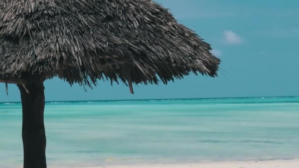 Thatched Umbrella on the Sandy Beach by Ocean, Straw Parasol Zanzibar, Afrika — Stockvideo