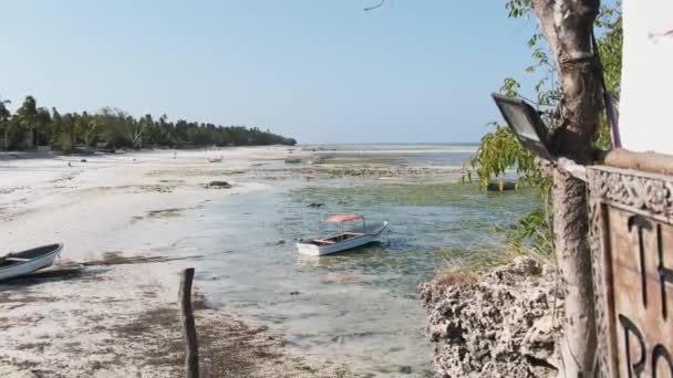 Spousta afrických rybářských lodí uvízlých v písku u pobřeží při odlivu, Zanzibar — Stock video