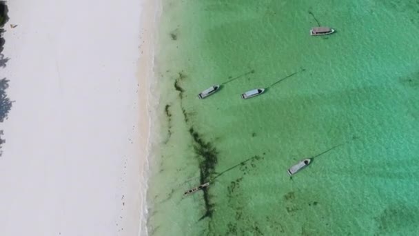 Łodzie zakotwiczone u wybrzeży na płyciźnie, Ocean podczas odpływu, Aerial Top, Zanzibar — Wideo stockowe