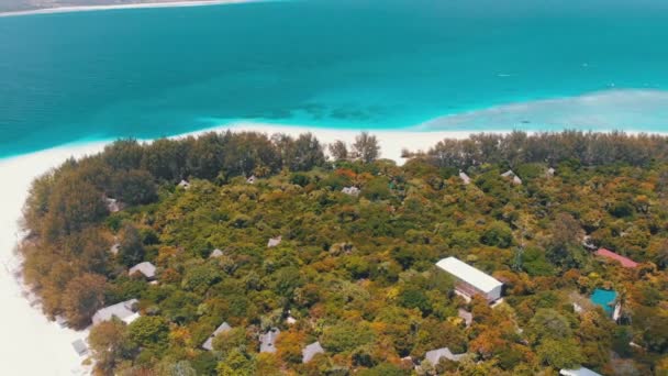 Paradise Private Island of Mnemba in Turquoise Ocean, Zanzibar, Widok z powietrza — Wideo stockowe