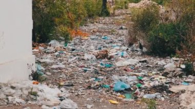 Afrika 'da Çöpler Fakir Tropikal Köy' deki Evlerin Yakınlarında, Çöpler, Zanzibar