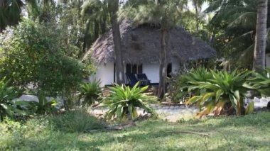 Okyanus, Zanzibar, Paje 'nin kıyısındaki Palm Groves' daki Thatched Roofs 'lu Tropik Plaj Oteli