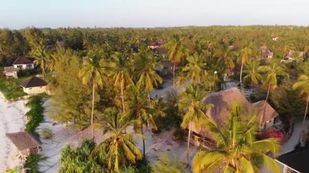 Paradise Coast Resort med palmer och hotell vid havet, Zanzibar, Flygfoto — Stockvideo