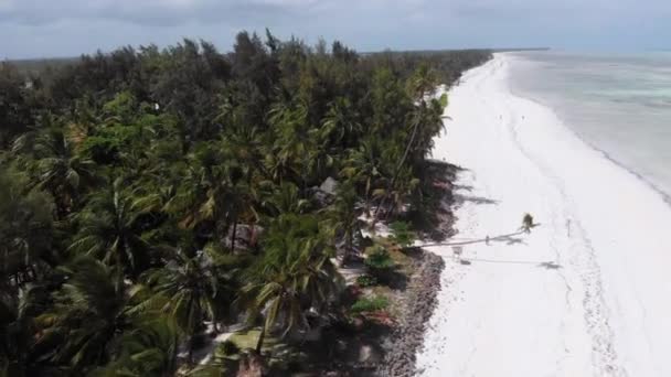 Ocean Coastline con Paradise Beach Alberghi e Palme, Zanzibar, Vista aerea — Video Stock