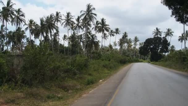 Островная асфальтовая дорога среди пальмовых глыб в Африке, Занзибар, Танзания — стоковое видео