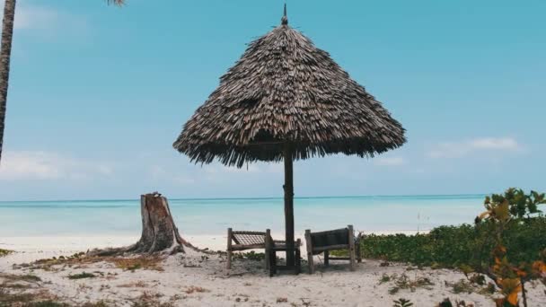 Tropical Deck Chairs Under Thatched Umbrellas at Sandy Beach by Ocean, Zanzibar — стокове відео