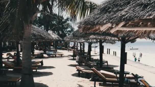 Umbrele de Thatched și șezlongurile la soare pe plaja de nisip lângă Hotel by Ocean, Zanzibar — Videoclip de stoc