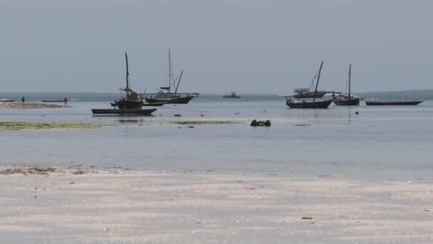 Viel Holz afrikanisches Fischerboot gestrandet im Sand am Strand, Ebbe, Sansibar — Stockvideo