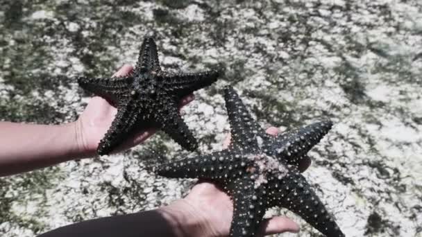 Женщина держит две черные звезды над прозрачной морской водой у кораллового рифа — стоковое видео