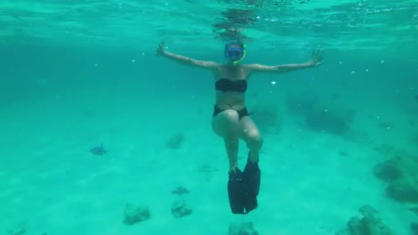 Γυναίκα στο Bikini Snorkeling Exotic Reef με τροπικά ψάρια, Υποβρύχια προβολή — Αρχείο Βίντεο