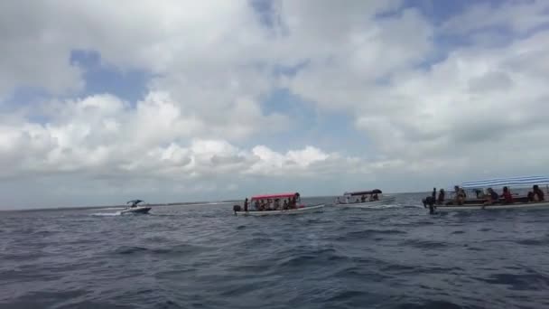Utflykt båtar med turister i öppna havet Letar efter delfiner, Zanzibar — Stockvideo