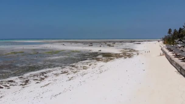 Many Fishing Boats Stuck in Sand off Coast at Low Tide, Zanzibar, Aerial View — Stock Video