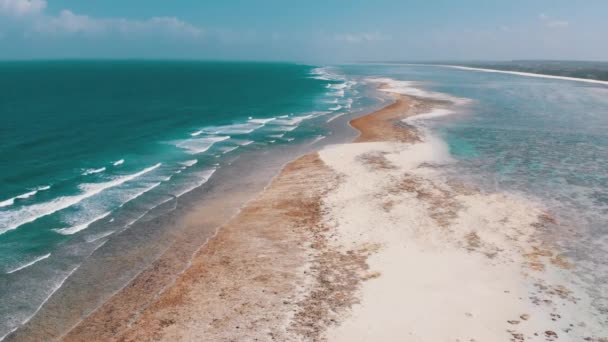 Ocean Coastline en Barrier Reef bij Low Tide, Zanzibar, Matemwe, Luchtfoto — Stockvideo