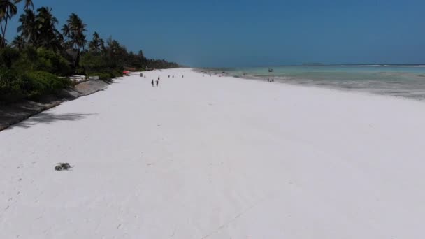 Ocean na odpływie, Widok z powietrza, Zanzibar, Płycizna rafy koralowej, Plaża Matemwe — Wideo stockowe