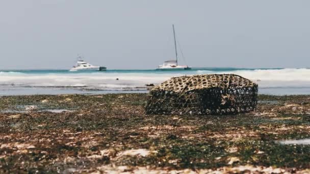 Африканская ловушка для ловли рыбы и морской звезды на мелководье, отлив, Занзибар — стоковое видео