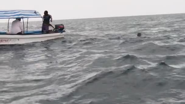 坦桑尼亚桑给巴尔，在开阔洋的小船附近，蒙面人带着海豚游泳 — 图库视频影像