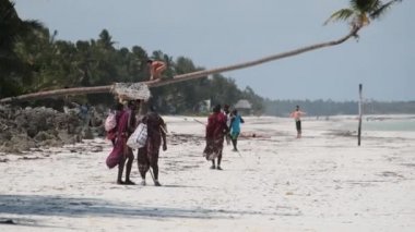 Maasai Zanzibar Adası 'ndaki turistler arasında Okyanus kıyısında Tropikal Sahilde Yürüyüş