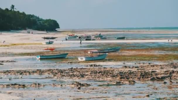 Bir sürü Afrika balıkçı teknesi Low Tide, Zanzibar 'da Kum Sahil açıklarında mahsur kaldı. — Stok video