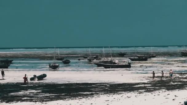 Mycket träafrikansk fiskebåt strandad i Sand on Beach, Low Tide, Zanzibar — Stockvideo