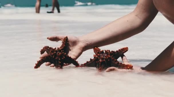 女子手握两只红海星在白沙滩透明海水之上 — 图库视频影像