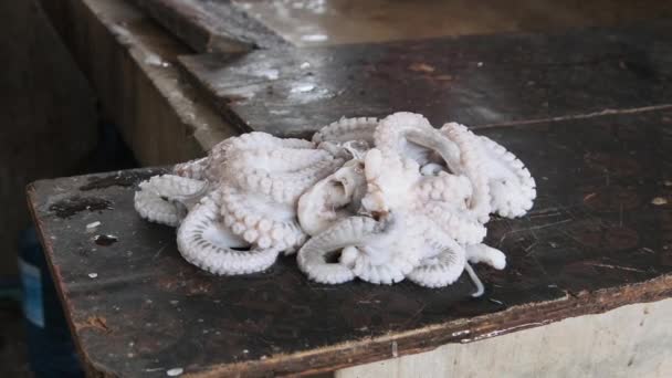 非洲鱼类市场，桑给巴尔污物不卫生陈列柜上的新鲜章鱼谎言 — 图库视频影像