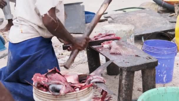 Pescadores africanos locales cortan pescado capturado en el mercado de pescado por Ocean Beach, Zanzíbar — Vídeo de stock